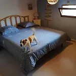 Mansardato Con Splendida Vista *